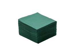 Servet 2-laags 33x33cm Groen 100st