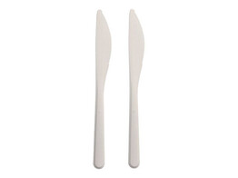Mes Wit PP Herbruikbaar 175mm 100st