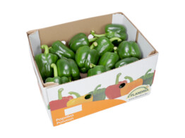 Paprika Groen 261  5kg Holland Doos