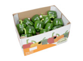 Paprika Groen 261  5kg Holland Doos