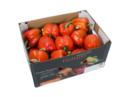 Paprika Rood 221  5kg Holland Doos