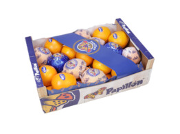 Premium Sinaasappels/Portakal Papillon 15kg